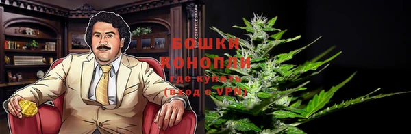 прущие грибы Дмитров