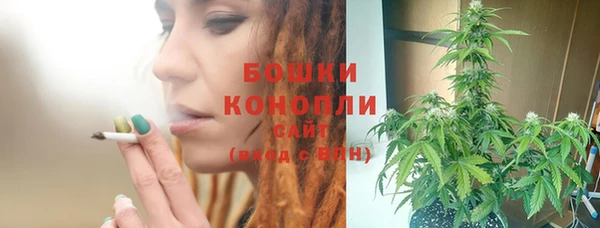 прущие грибы Дмитров