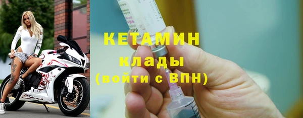 прущие грибы Дмитров