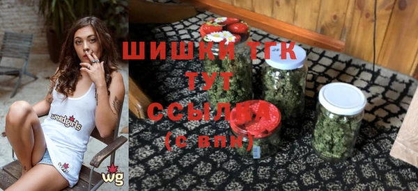 СК Елабуга